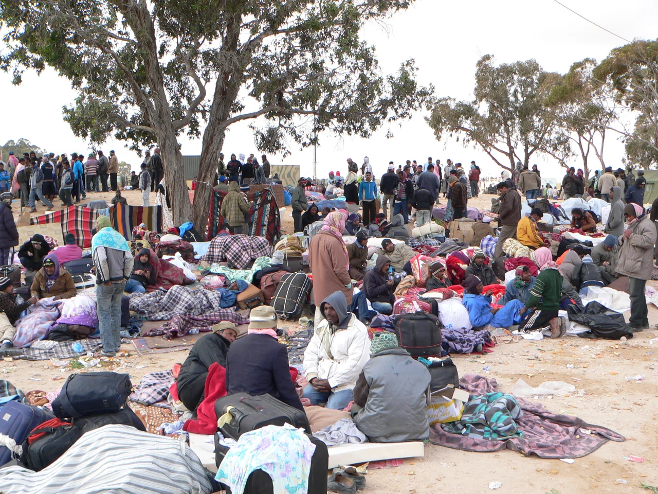 Réfugiés du Bangladesh au  Camps de Choucha - Tunisie
