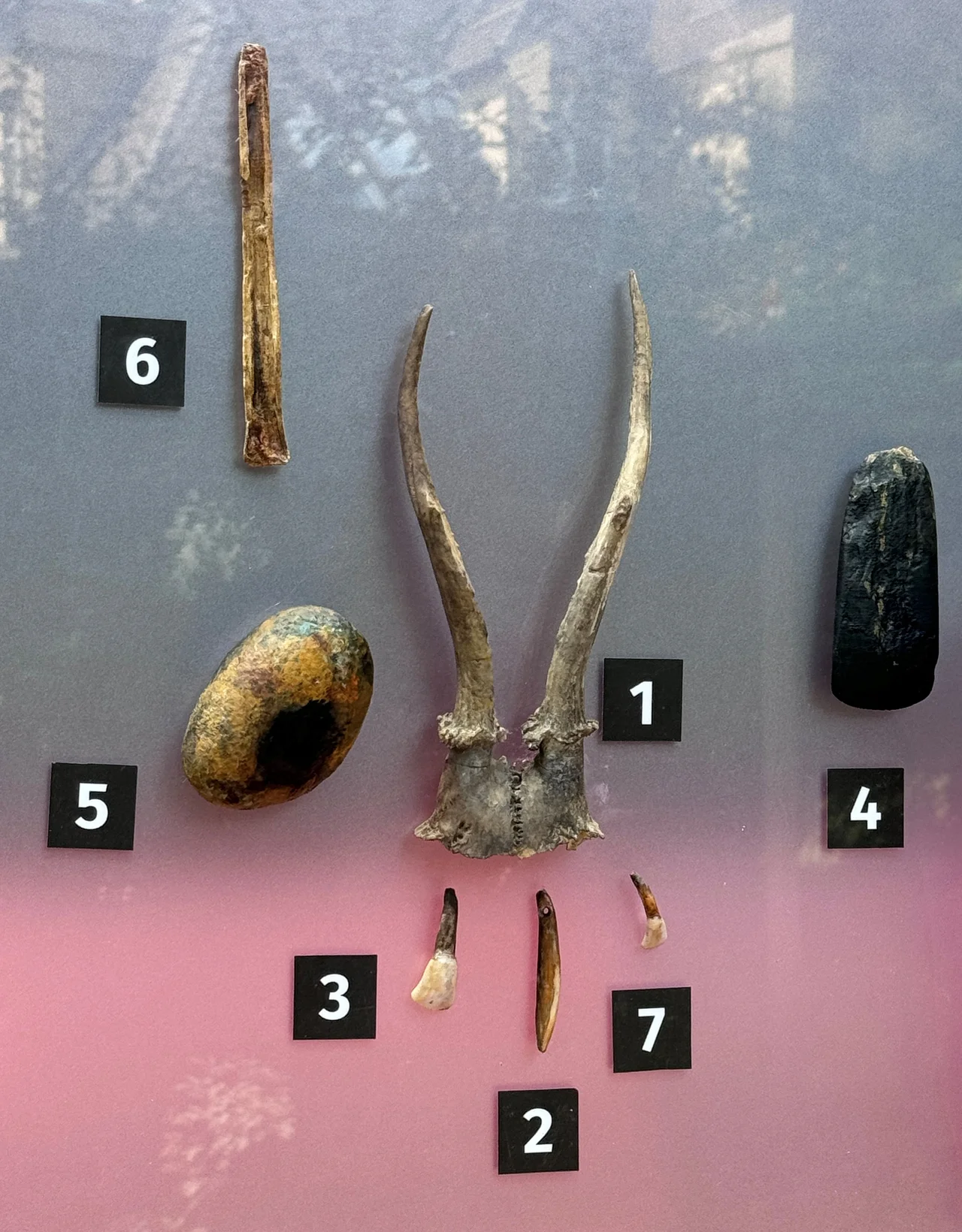 Bad Dürrenberg, LAGA 2024, archaeological objects from a grave